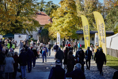 fot. Agata Wladyczka