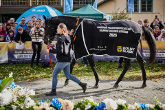 fot. Agata Wladyczka