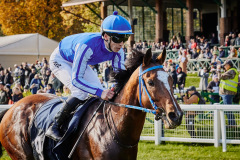 fot. Agata Wladyczka