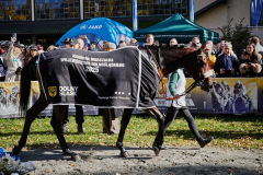 fot. Agata Wladyczka