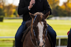 fot. Wiktor Rzezuchowski