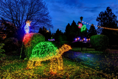 1634107579_20201102-ksiaz-palmiarnia-ogrody-swiatla-02