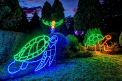 1634107579_20201102-ksiaz-palmiarnia-ogrody-swiatla-08