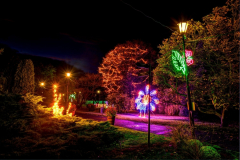 1634107579_20201102-ksiaz-palmiarnia-ogrody-swiatla-12