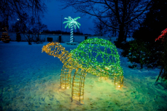 1634107683_20210111-zamek-ksiaz-palmiarnia-ogrody-swiatla-003