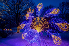 1634107683_20210111-zamek-ksiaz-palmiarnia-ogrody-swiatla-018