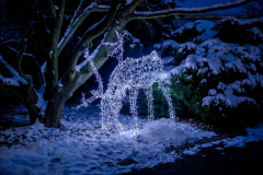 1634107683_20210111-zamek-ksiaz-palmiarnia-ogrody-swiatla-054