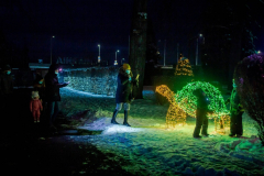 1634107683_20210111-zamek-ksiaz-palmiarnia-ogrody-swiatla-113