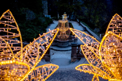 1573829617_20191108-022