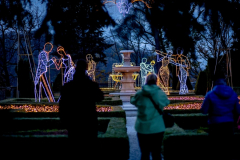 1573829617_20191108-039