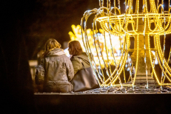 1573829649_20191111-A127