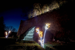 1573829733_i_zamek-ksiaz-ogrody-swiatla-15